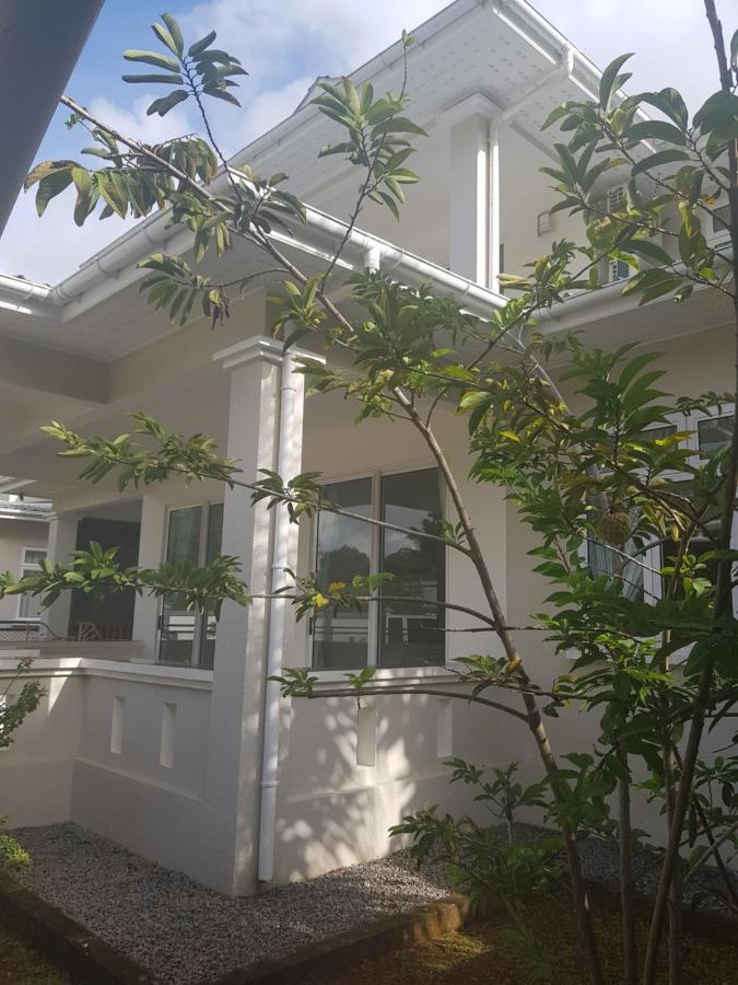 Maison Cattleya Selfcatering Apartment Anse Royale Bagian luar foto